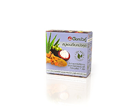 Травяное мыло с мангостином Twin Lotus, 85 г 